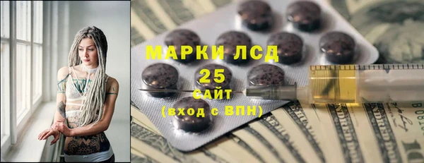 хмурый Лагань