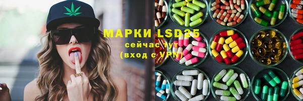 хмурый Лагань