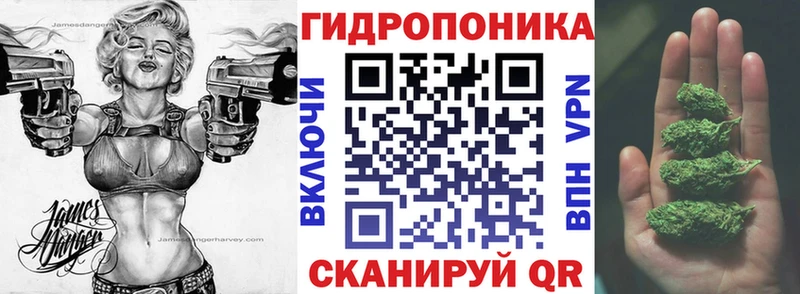 Бошки Шишки ГИДРОПОН хочу kraken маркетплейс Райчихинск